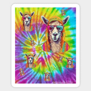 Psychedelic Llamas Magnet